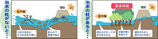 治水の杜の役割