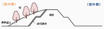 桜づつみ事業≪桜植栽場所イメージ≫