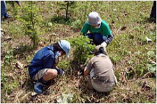 トムラウシ夢の森づくり2009