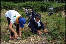 トムラウシ夢の森づくり2009