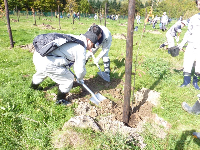 古平町植樹祭の写真6