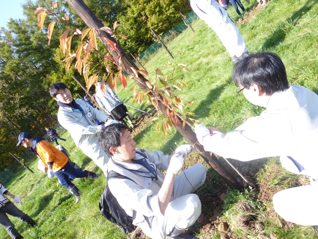 古平町植樹祭の写真7