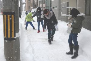 通学路砂まきの写真