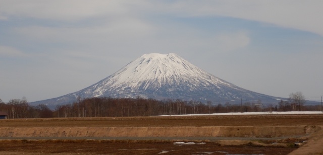 羊蹄山（ニセコ町福井）