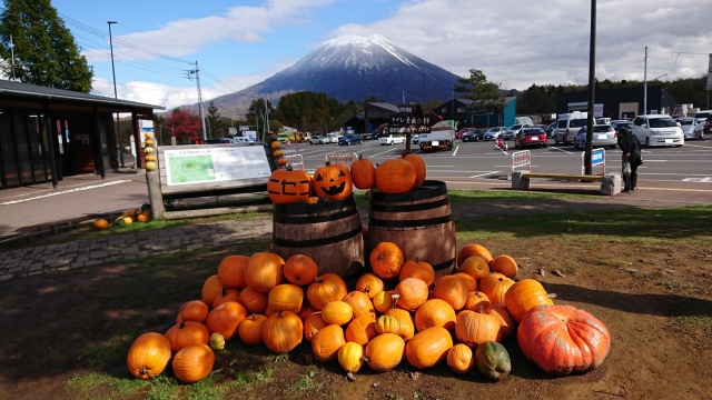 観賞用カボチャと羊蹄山（道の駅ニセコビュープラザ（ニセコ町））