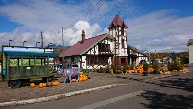 観賞用カボチャと羊蹄山（JRニセコ駅（ニセコ町））