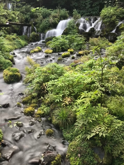 夏のふきだし公園（京極町）