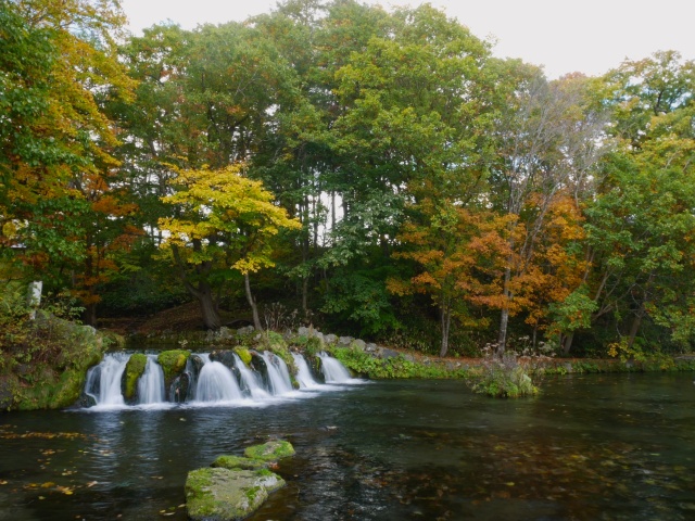 秋のふきだし公園（京極町）