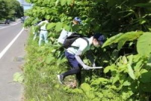 協働での道路の草刈りの様子