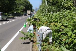 協働での道路の草刈りの様子