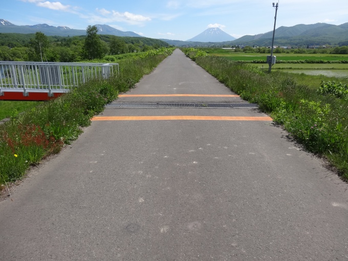 路面標示（トラフ）