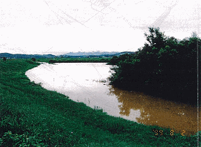 人別(にんべつ)築堤内水氾濫状況