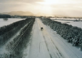 防雪林