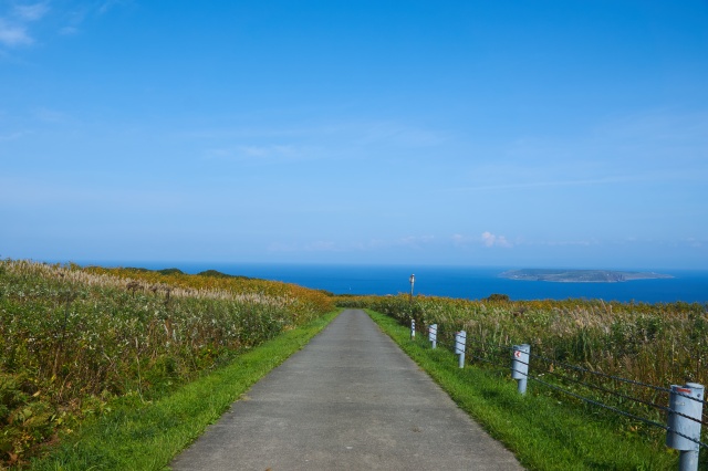 天売島の風景（天売島）