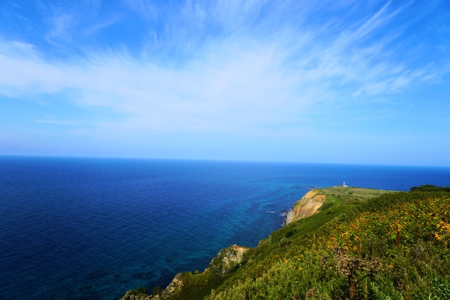 天売島の風景（天売島）