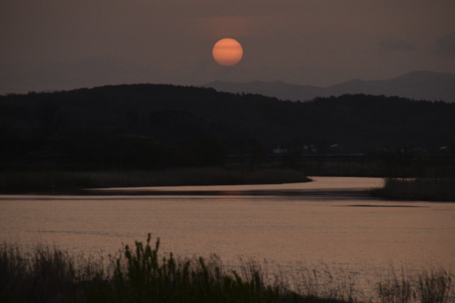 日の出（苫前町古丹別川）