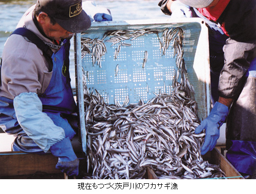現在もつづく茨戸川のワカサギ漁