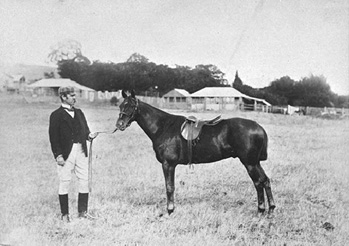 真駒内牧場のエドウィン・ダンと輸入馬、明治10年頃