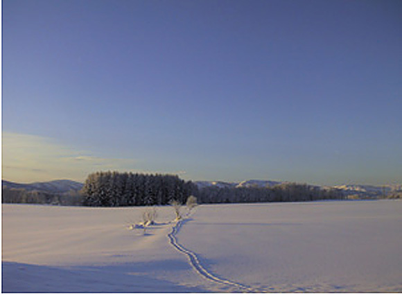 昭和53年2月17日、幌加内の母子里地区で日本最寒の－41.2度を記録