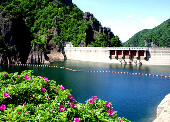 短い北の夏を象徴するハマナスと定山湖