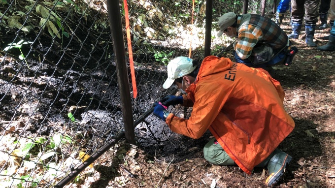 専門家による現地調査－1（掘跡箇所）