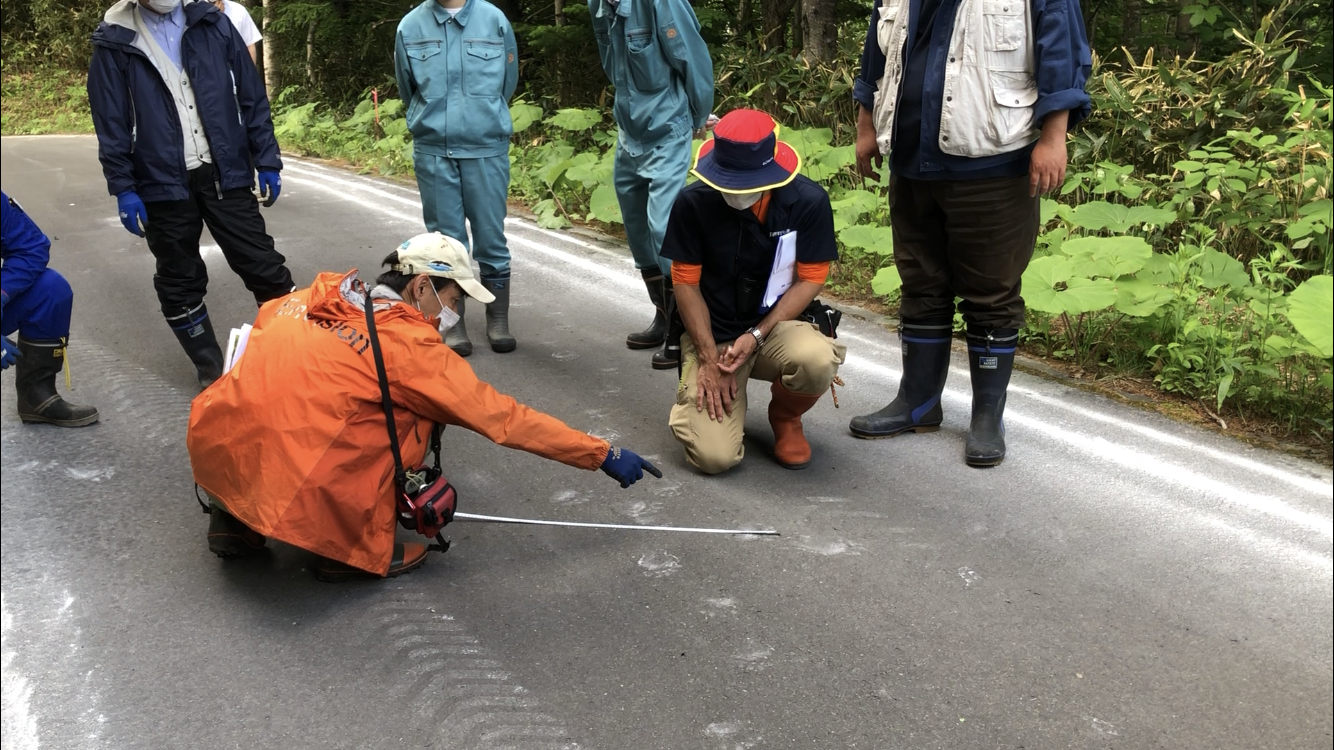 専門家による現地調査－2（足跡箇所）