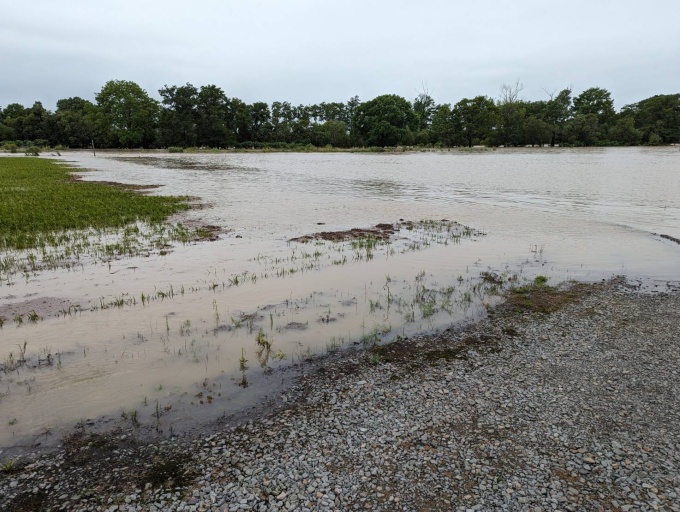 雨竜川溢水状況（令和5年8月6日14時頃（深川市多度志））