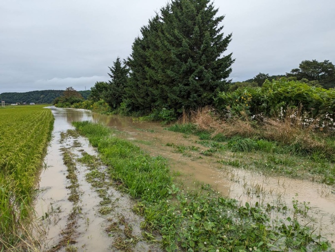 雨竜川溢水状況（令和5年8月6日14時頃（沼田町共成））