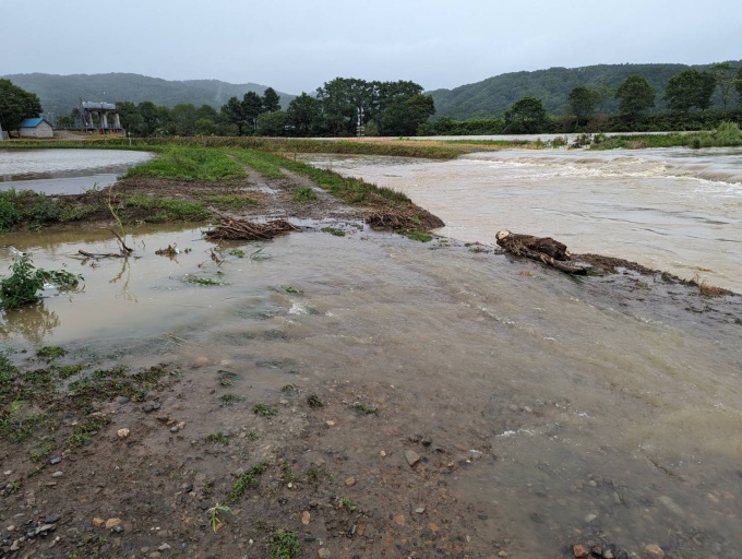 雨竜川溢水状況（令和5年8月6日14時頃（深川市多度志））