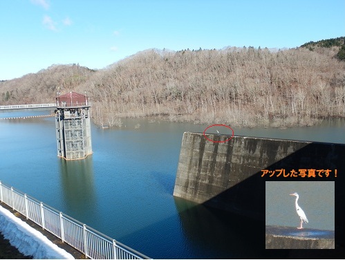 令和8年4月8日　漁川ダムからの風景