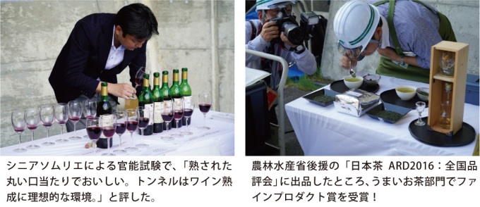 官能試験の様子
