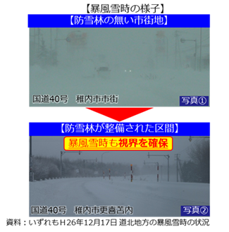 暴風雪時の防雪林有無による効果