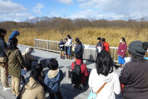 地元の小学生がサロベツの自然を紹介