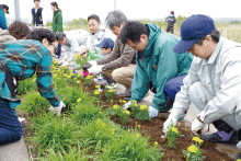 花植え作業の様子