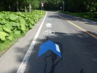 急カーブ手前の路面表示