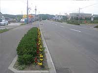 沿線の風景