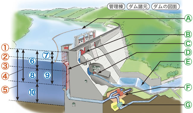 ダムの仕組み・図面