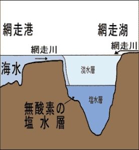 網走湖断面図