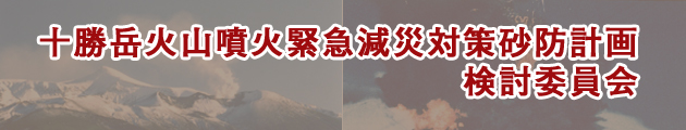 十勝岳火山噴火緊急減災対策砂防計画検討委員会