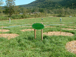 生態学的混播・混植法の実施箇所（左）