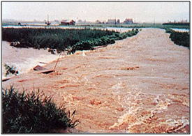 昭和48年8月洪水時の写真