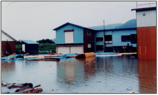 昭和56年8月洪水時の写真