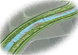 河原の再生