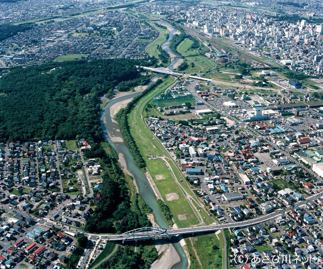 ▲忠別川～大正橋より下流を望む 