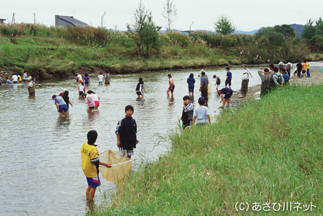 ▲オサラッペ川～水生生物調査 