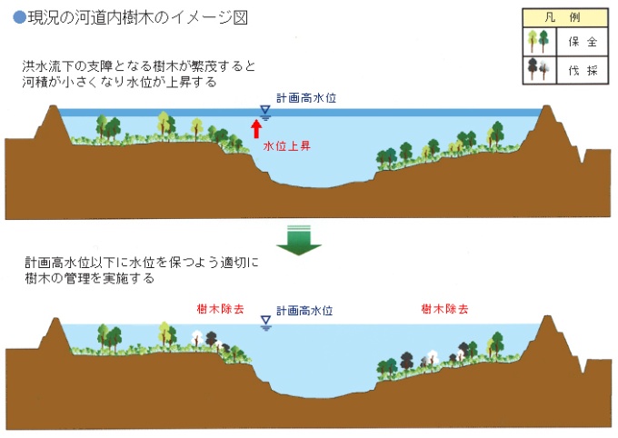 現況の河道内樹木のイメージ図