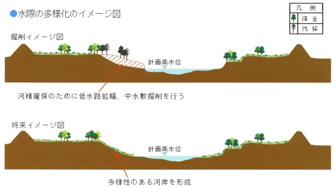 水際の多様化のイメージ図