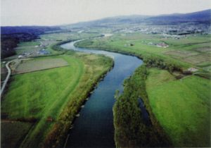 河畔林が連続して形成される中流部