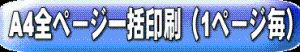 A4全ページ一括印刷(1ページ毎)