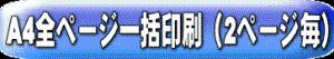 A4全ページ一括印刷(2ページ毎)